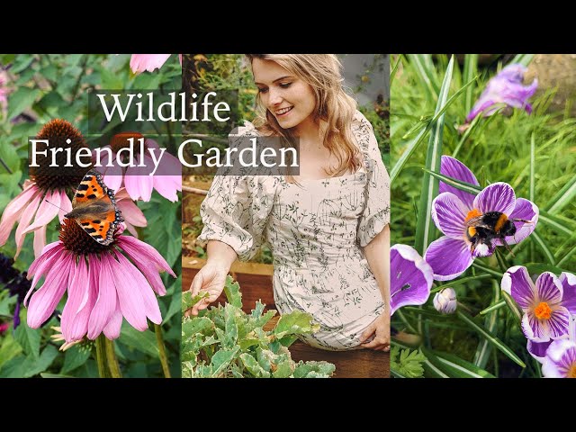 How to Create a Wildlife-Friendly Cottage Garden | Pond, Pollinators & More