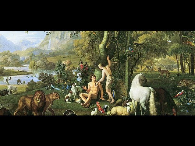 Forgotten - GARDEN OF EDEN