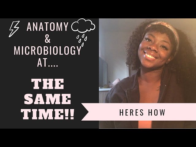 I'm taking Microbiology & Anatomy at the same time! (Here's how)