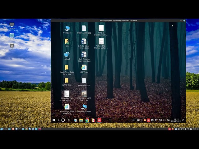 Russian Hacker has Compromised My Computers and Warranties, Cyperbersecurity and other Idiocies