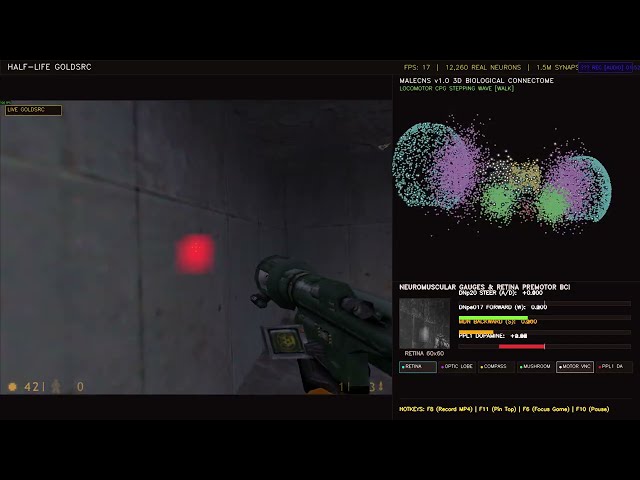 I Put a Real Fruit Fly Brain Into Half-Life...