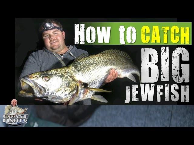 HOW TO catch BIG JEWFISH
