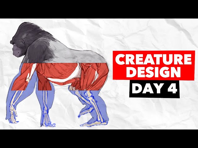 INTRO to Human and Creature Anatomy! | Full Length Tutorial | Bootcamp Day 4