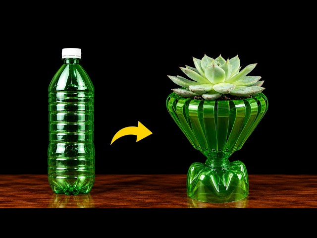 Great Recycling Secrets  Useful Tips & Ideas for Repurposing Old Items