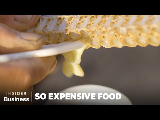 Why Royal Jelly is So Expensive | So Expensive Food | Business Insider