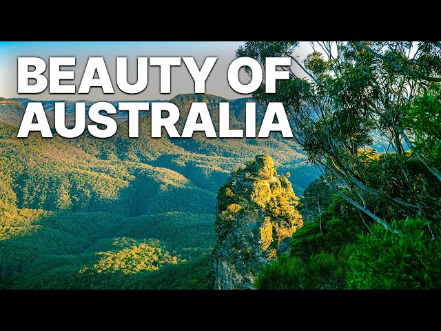Beauty Of Australia | Nature Documentary