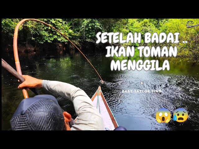 AFTER THE STORM CALMED .. I DON'T KNOW WHY THE FISH IN THIS RIVER ARE SUCKING .. !!! .. 😰😱 ..