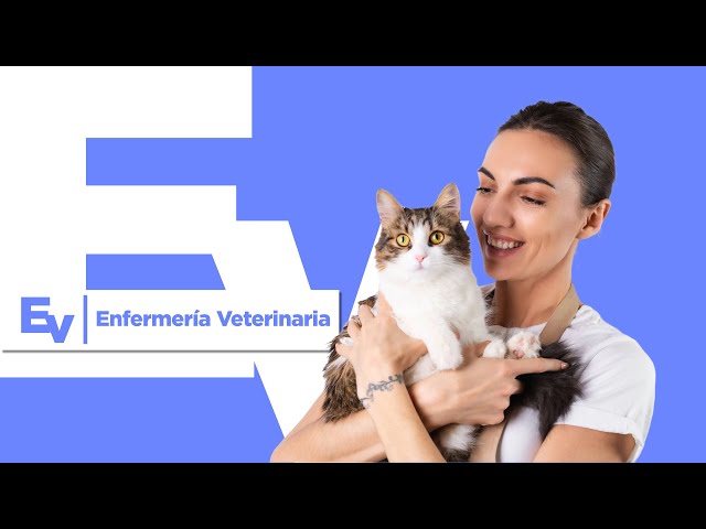 Bienvenidos a la Carrera de Enfermería Veterinaria del ITQ