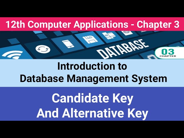12th Computer Applications || Chapter 3 || Introduction to DBMS || Candidate Key & Alternative Key
