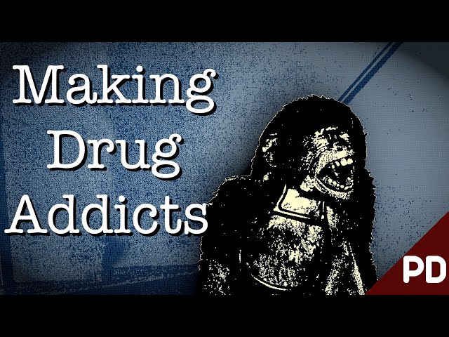 The Dark Side of Science: The Horrific Monkey Drug Experiment 1969 (Short Documentary)