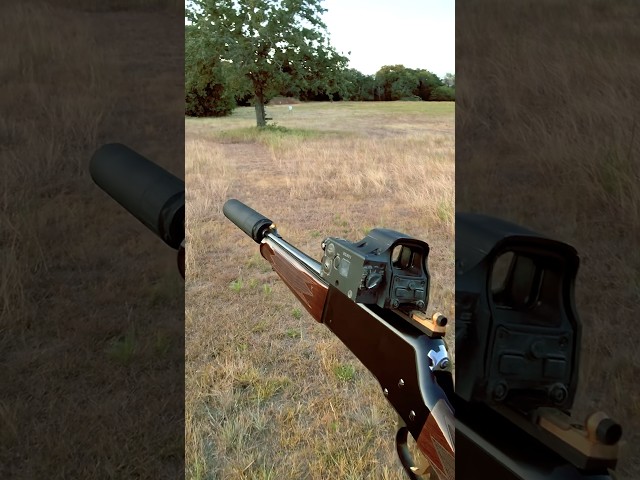 Short Barrel .308 Lever Gun!