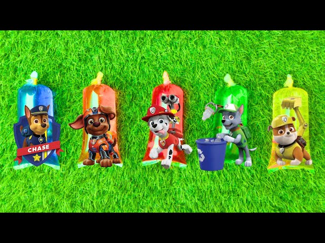 New Mixing Paw Patrol Toys | Ryder, Skye, Chase & Friends 🌈 Water Jelly Satisfying Toy Sounds ASMR