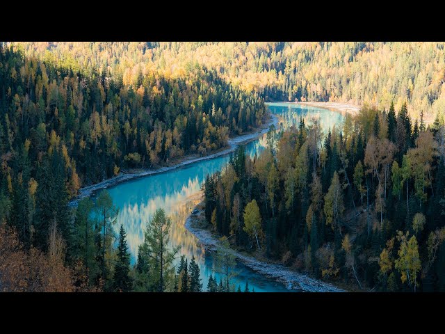 Northern Xinjiang Travel: Autumn Kanas | 4K60P HDR
