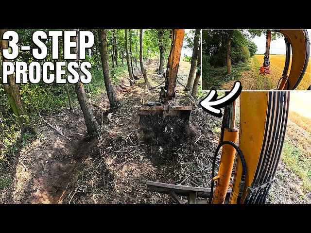 Ultimate Ditch Clearing | 3-Step Process: Cut - Mulch - Dig | Time-Lapse