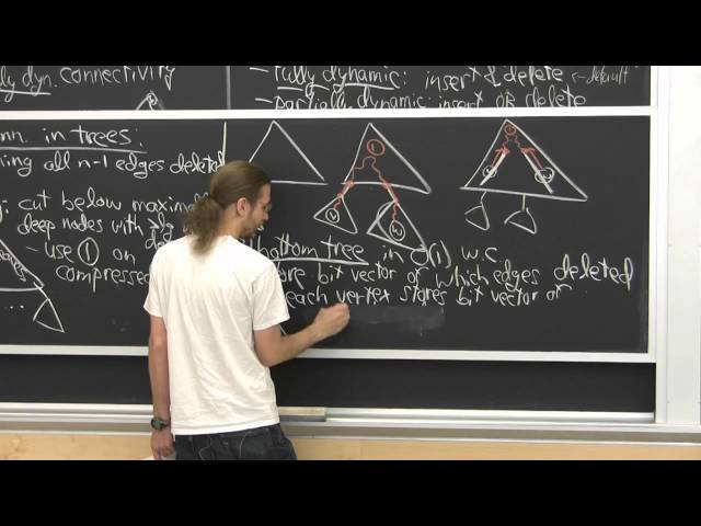 20. Dynamic Graphs II