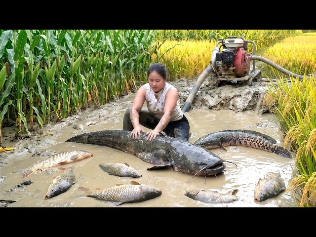 “Girl Uses Mud Suction Engine and Catches a Giant Monster Fish Creature”