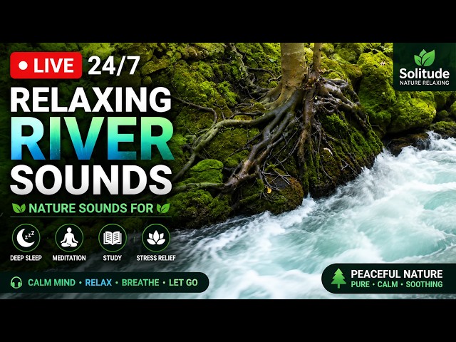 Cyber Waterfall Lo-Fi  Neon Beats to Code, Program & Study [Relaxing Fluid Sounds] 🔴 LIVE 24/7