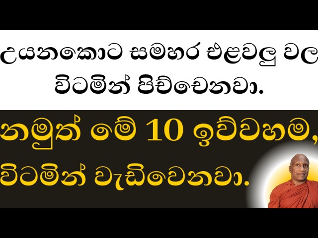 උයනකොට විටමින් වැඩිවෙන එළවලු 10 ක්!