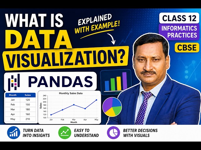 What is Data Visualization? | Pandas Data Visualization in Python | Class 12 Informatics Practices