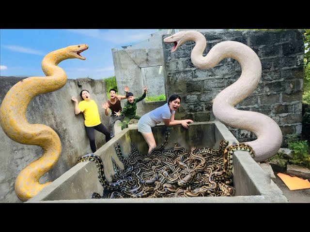 Brave Hunters Capture Two Ferocious Giant Pythons to Rescue a Girl in Abandoned House