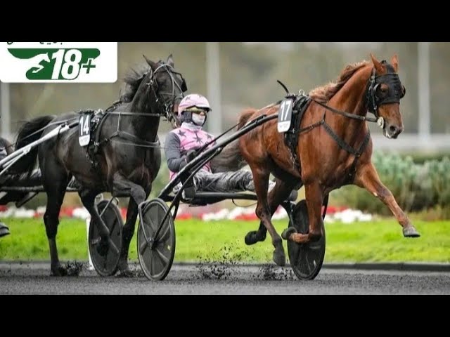 25/09/2026~#Programme Pour la course du vendredi soir🔞👍💯👍💯👍💯👍💯👍💯 