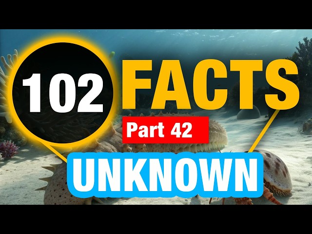 102 Facts You Won’t Believe | Amazing Random Facts