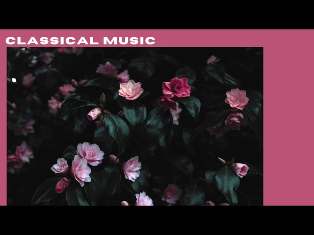 CLASSICAL MUSIC / ROMANTIC ver.