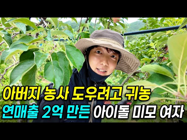 "엄마 반대가 심했어요..." 아버지 잠깐 도우려다, 아예 귀농! 연매출 2억 만든 31살 아이돌미모 여자 농부 [청년농부, 문경 사과]