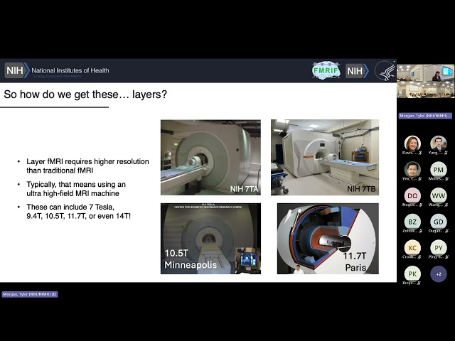 Summer Course 2026: 18 Layer and Column fMRI by Tyler Morgan