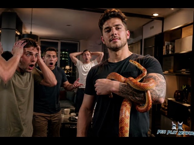 Part 2  Why Do People Keep Snakes as Pets?