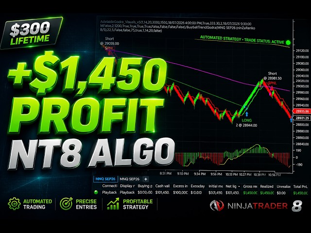 Fully Automated NT8 Renko Algorithm