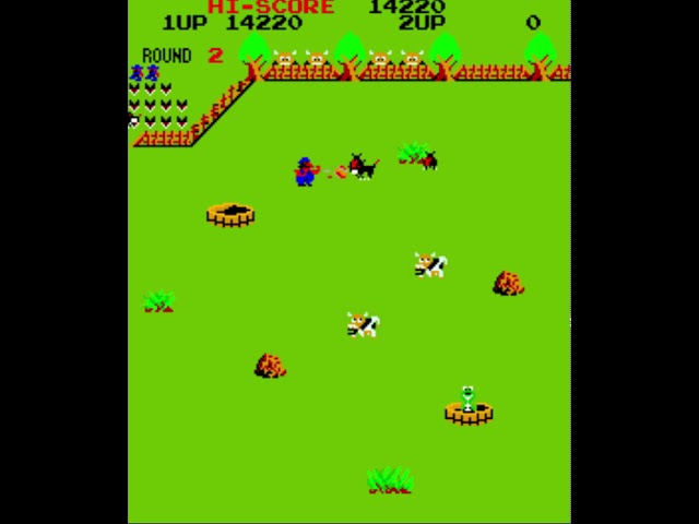 1982 SNK Lasso Arcade Game