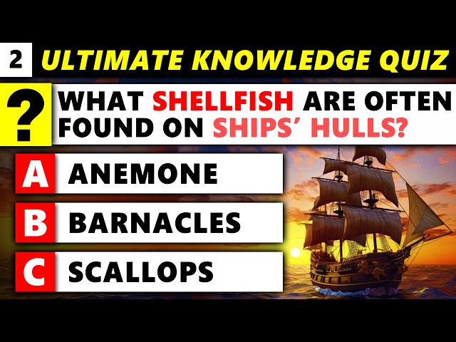 How Good Is Your Everyday Knowledge?