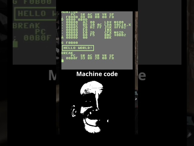 Only Programmers can understand this ☠️☠️☠️👌👌 #codinglife #programmer #codingtutorial #trend