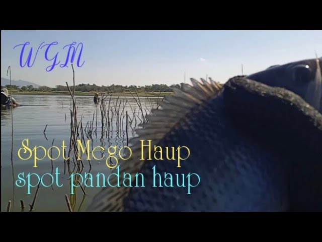 Fishing with the Cundamani Fishing Team #latestwgmnyobokfishing
