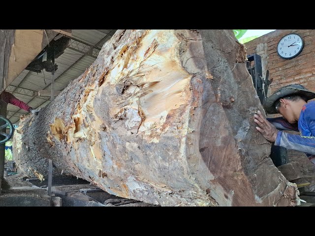 The large size of the timber requires a high level of skill to saw it.