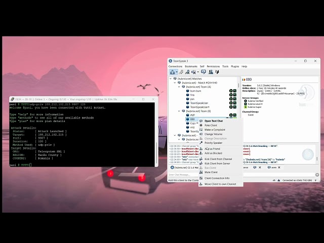 TuttiNet vs ts.hubmix.net | BEST C2/BOTNET/API 2026 | BEST BYPASS | CHEAPEST ON THE MARKET!