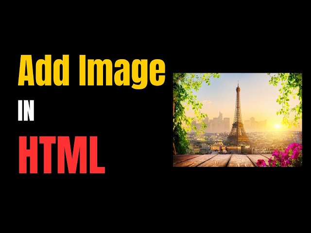 🔥 How to Add an Image in HTML | Beginner’s Guide (Step-by-Step)