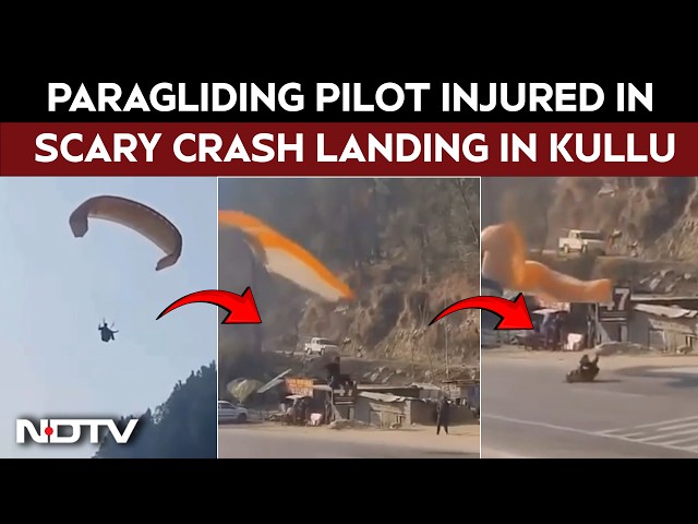 On Camera, Paragliding Pilot Injured In Crash Landing On Road In Himachal's Kullu