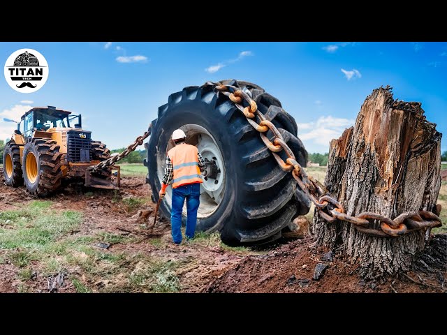 Extreme Dangerous Monster Stump Removal Excavator | Amazing Fastest Wood Chipper Machines #39