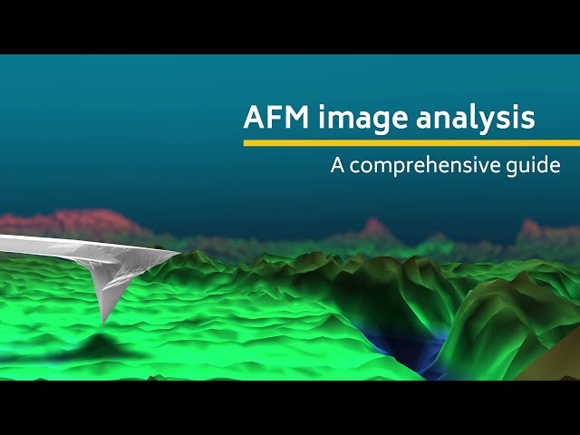 AFM image analysis | A comprehensive guide