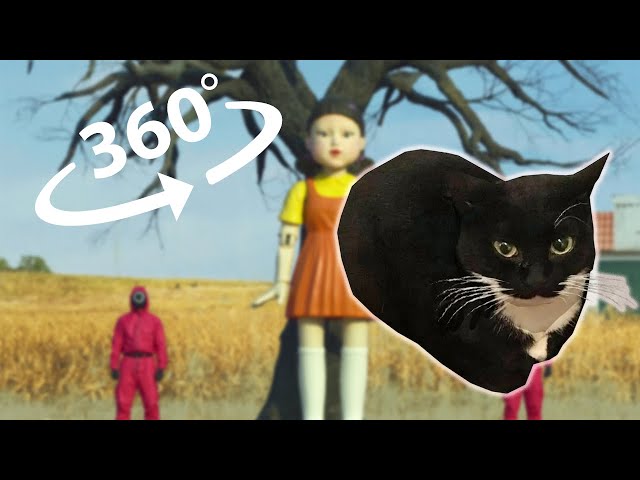 Maxwell the cat dance in 360 VR in Squid Game / 360 video