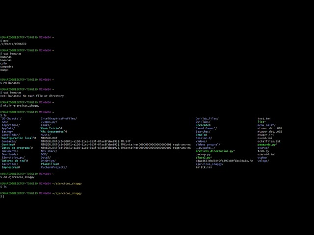 Linux, ls, cd, wc. Python module sys y module OS
