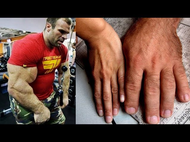 Top 7 Gigantes De La Vida Real Que Aún Existen