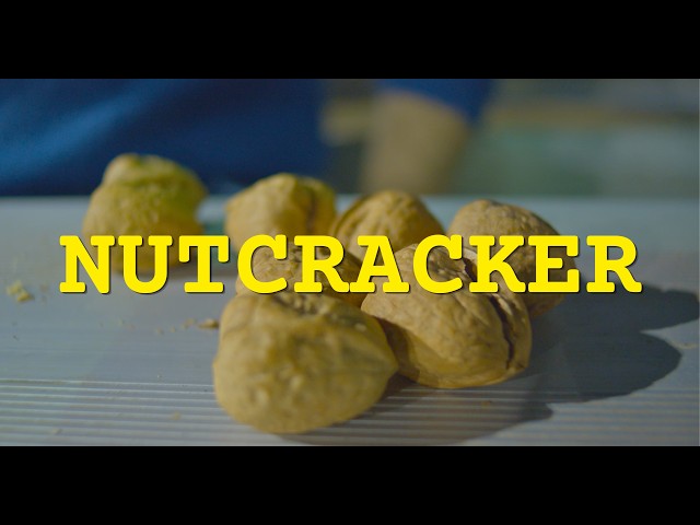 Nutcracker