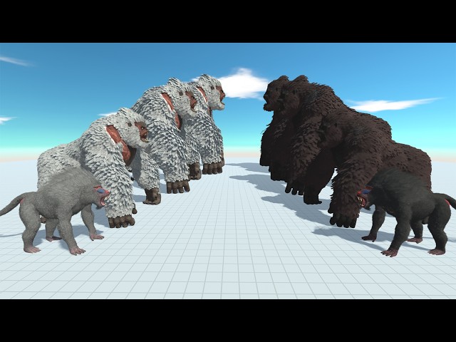 Animals Battle: Black Gorilla Team vs White Gorilla Team in ARBS