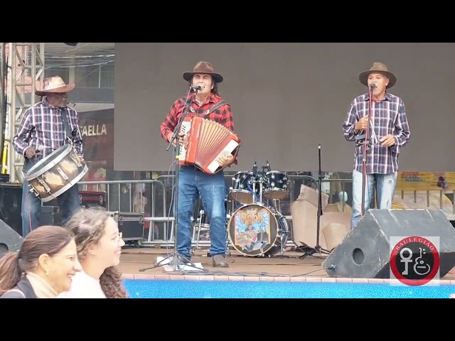 VIVA O FOLE 8 BAIXOS,  CARLÃO