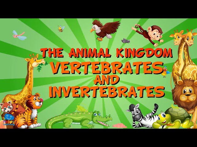 THE ANIMAL KINGDOM. VERTEBRATES AND INVERTEBRATES | Educational Videos for Kids