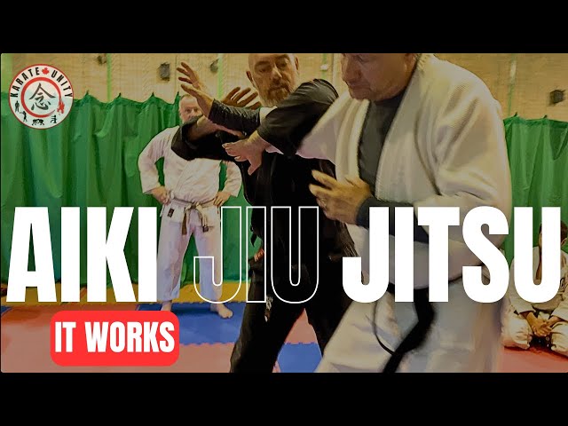 Aiki Jiu Jitsu : The Underrated Martial Art You Need To Know