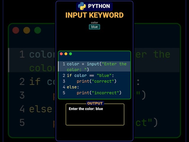 How Does Python Get Input From You? #python #pythonforbeginners #pythonbasic